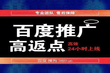 百度广告投放策略与效果评估案例